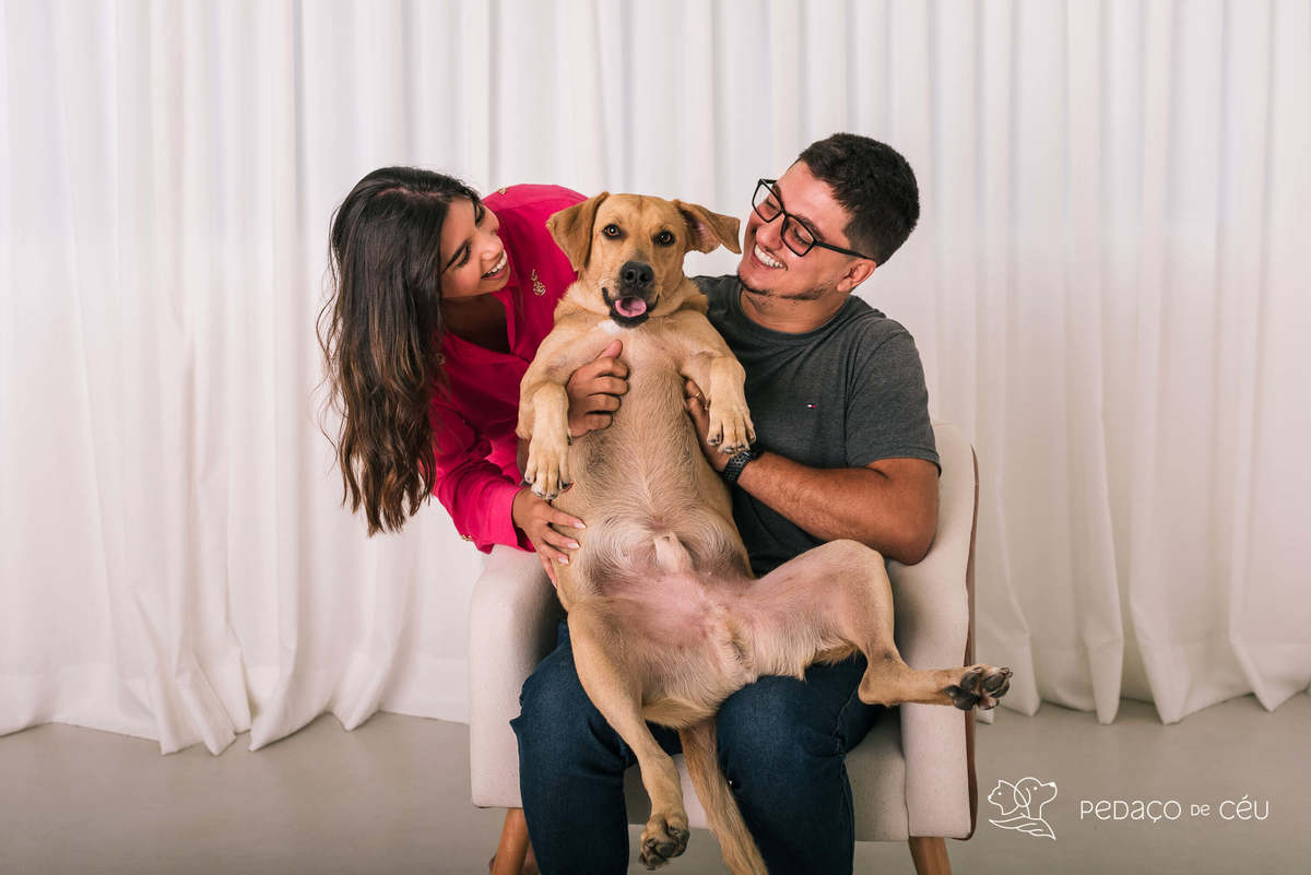 ensaio pet srd estúdio rio de janeiro