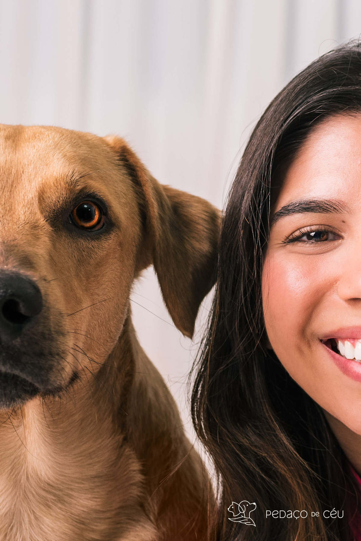 ensaio pet srd estúdio rio de janeiro
