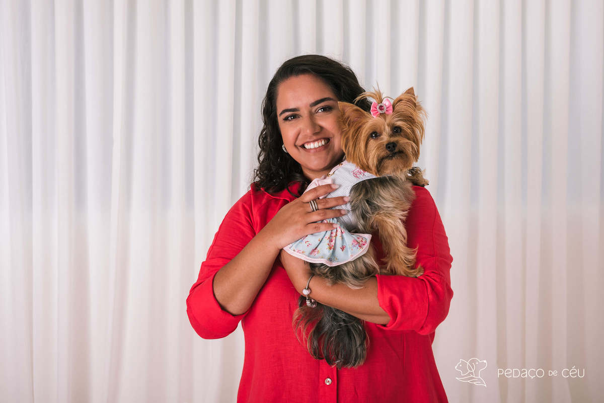 ensaio pet yorkshire estúdio rio de janeiro