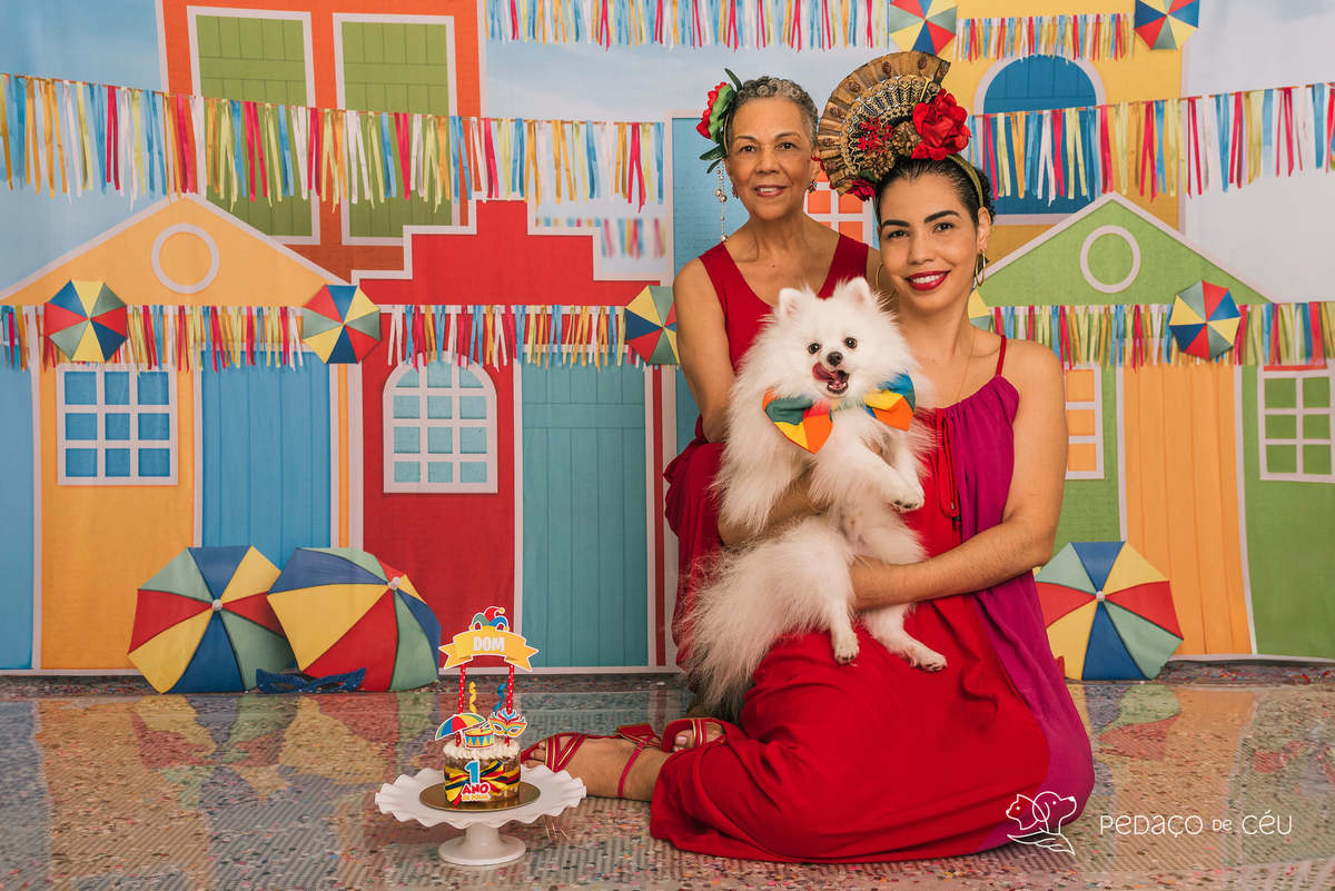 cake smash spitz 1 aninho rio de janeiro