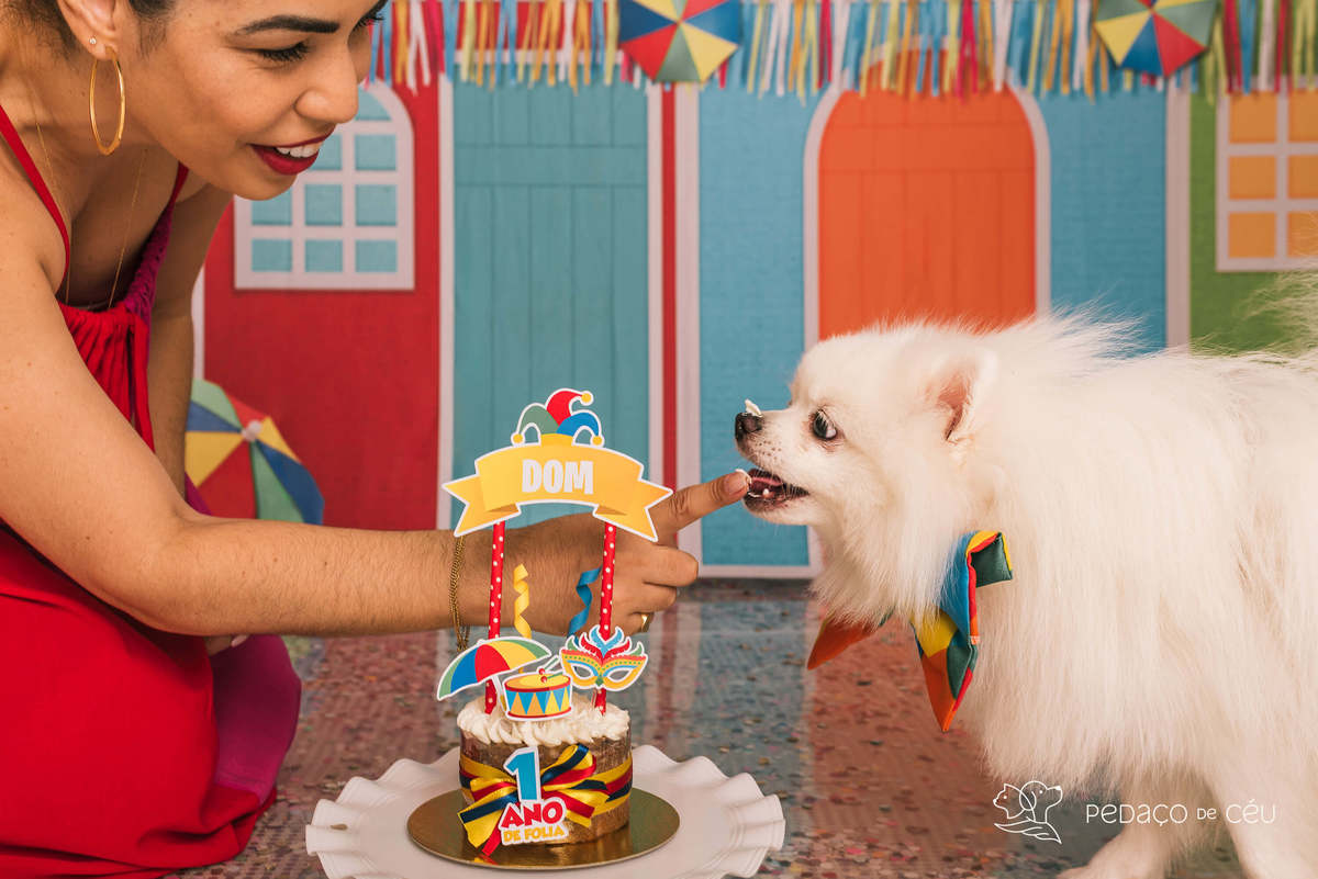 cake smash spitz 1 aninho rio de janeiro