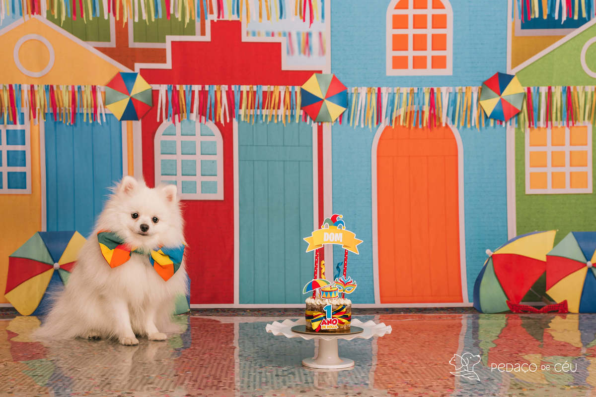 cake smash spitz 1 aninho rio de janeiro