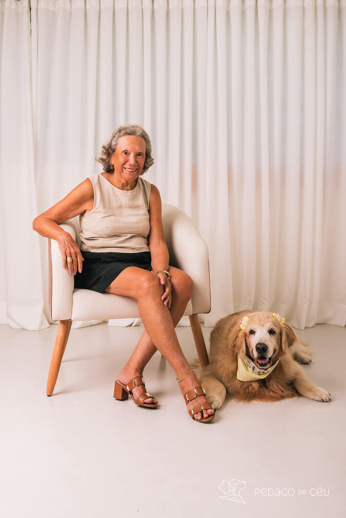 Ensaio pet em estúdio Rio de Janeiro Golden retriever