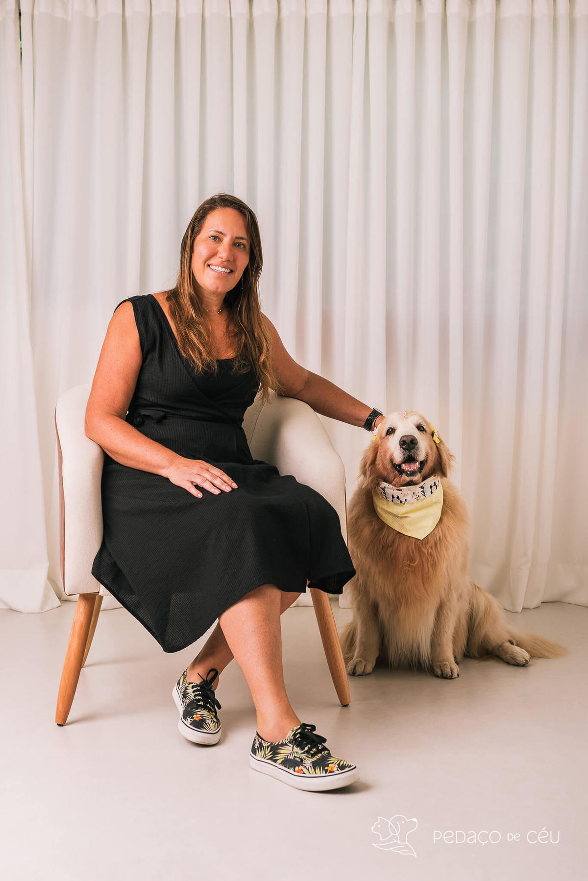 Ensaio pet em estúdio Rio de Janeiro Golden retriever