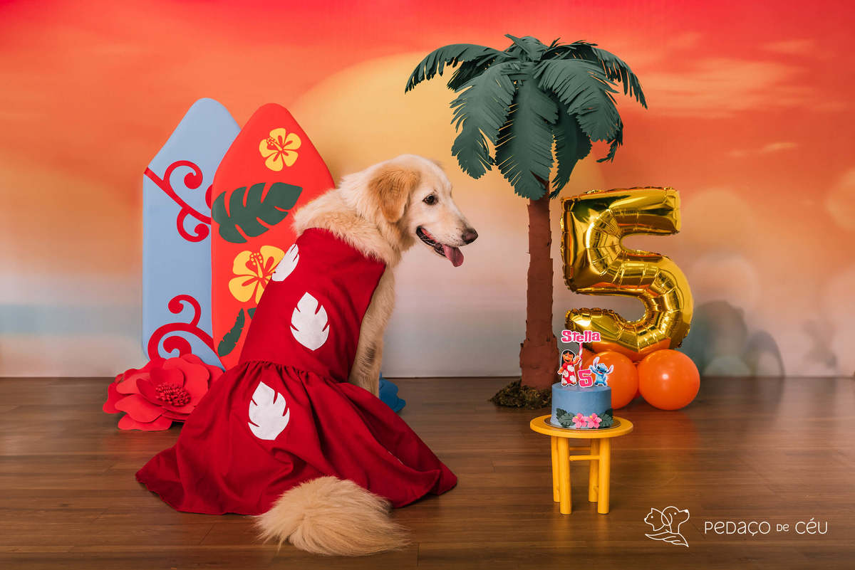 cake smash golden estudio pet friendly rj