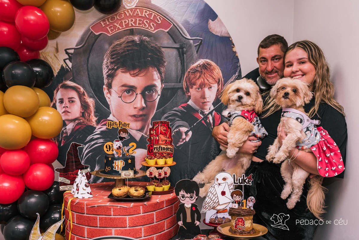 Espaço festa para pets rio de janeiro