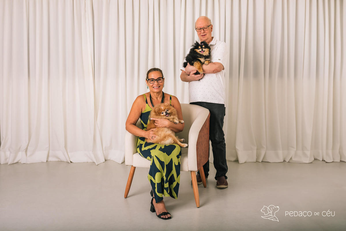 Ensaio em estúdio pet lulu da pomerânia Barra da Tijuca