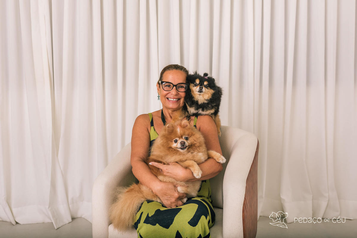 Ensaio em estúdio pet lulu da pomerânia Barra da Tijuca