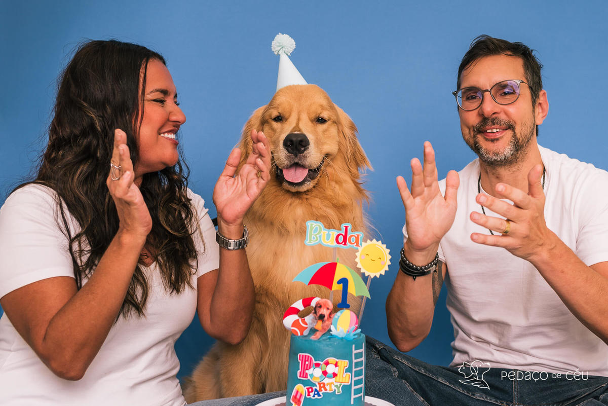 Cake smash golden retriever