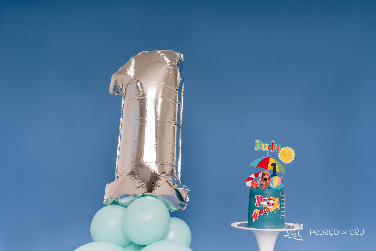 Cake smash pet