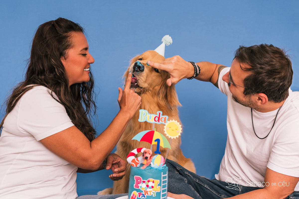 Cake smash golden retriever