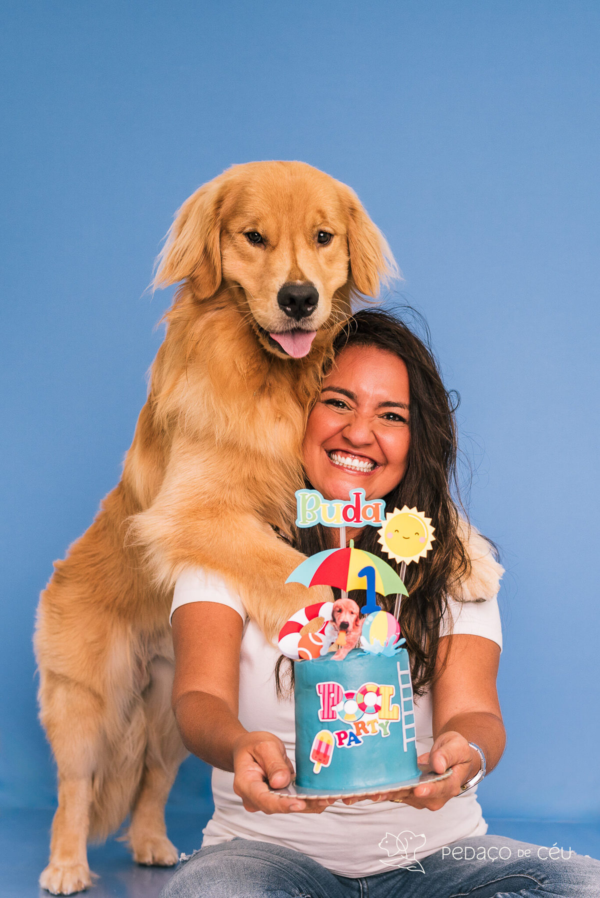 Cake smash golden retriever