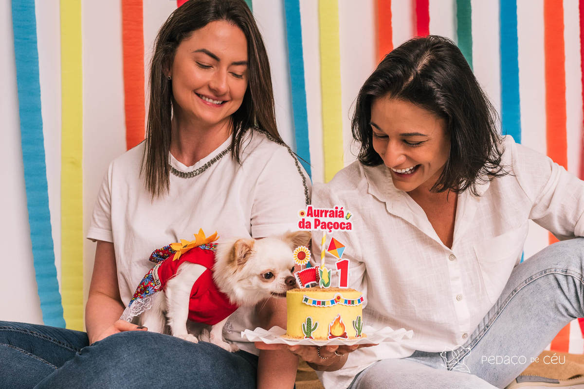 ensaio de aniversário pet chihuahua em estúdio rj