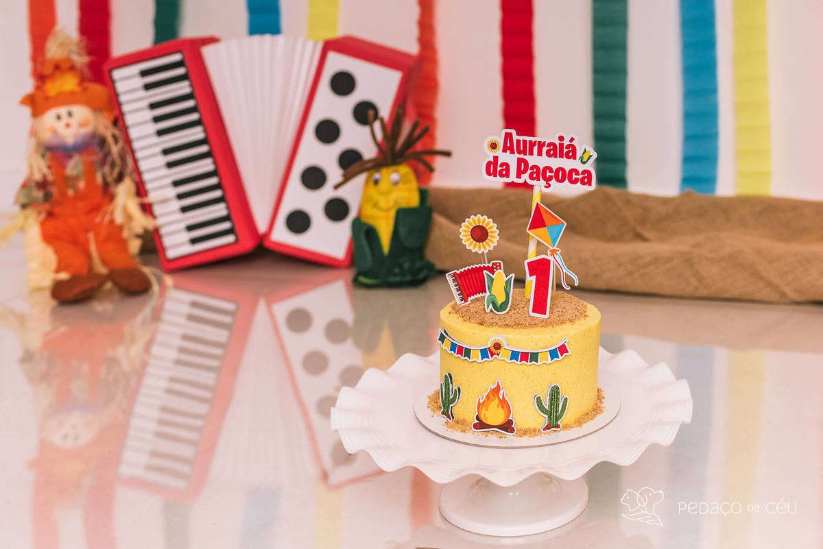 ensaio de aniversário pet em estúdio rj