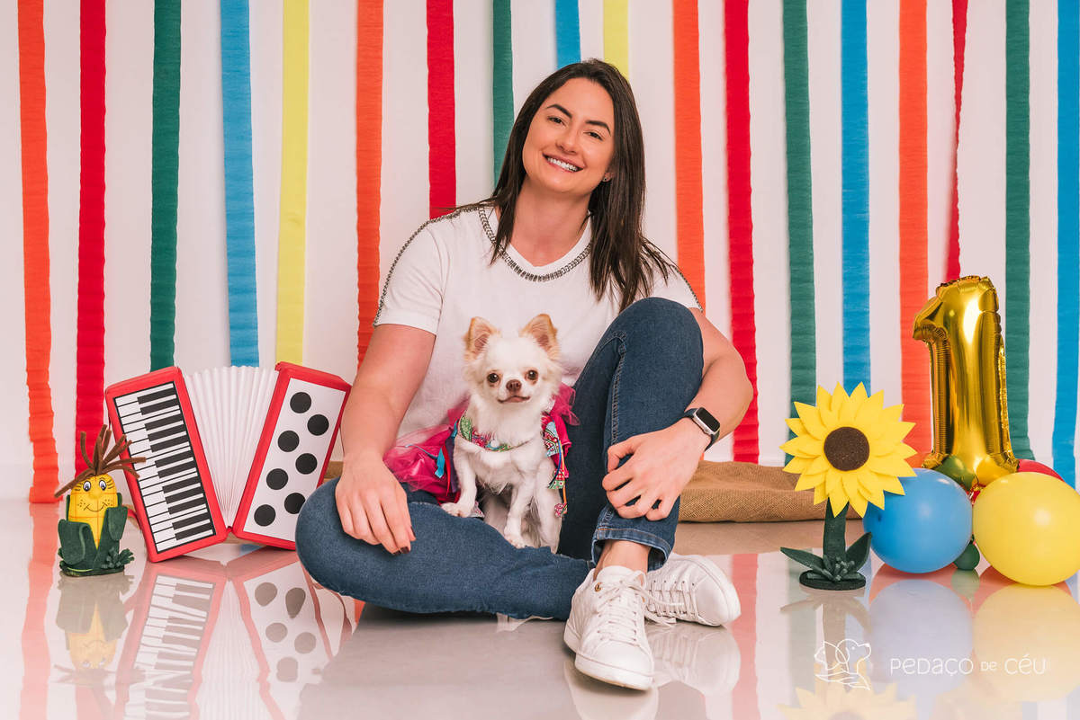 ensaio de aniversário pet chihuahua em estúdio rj