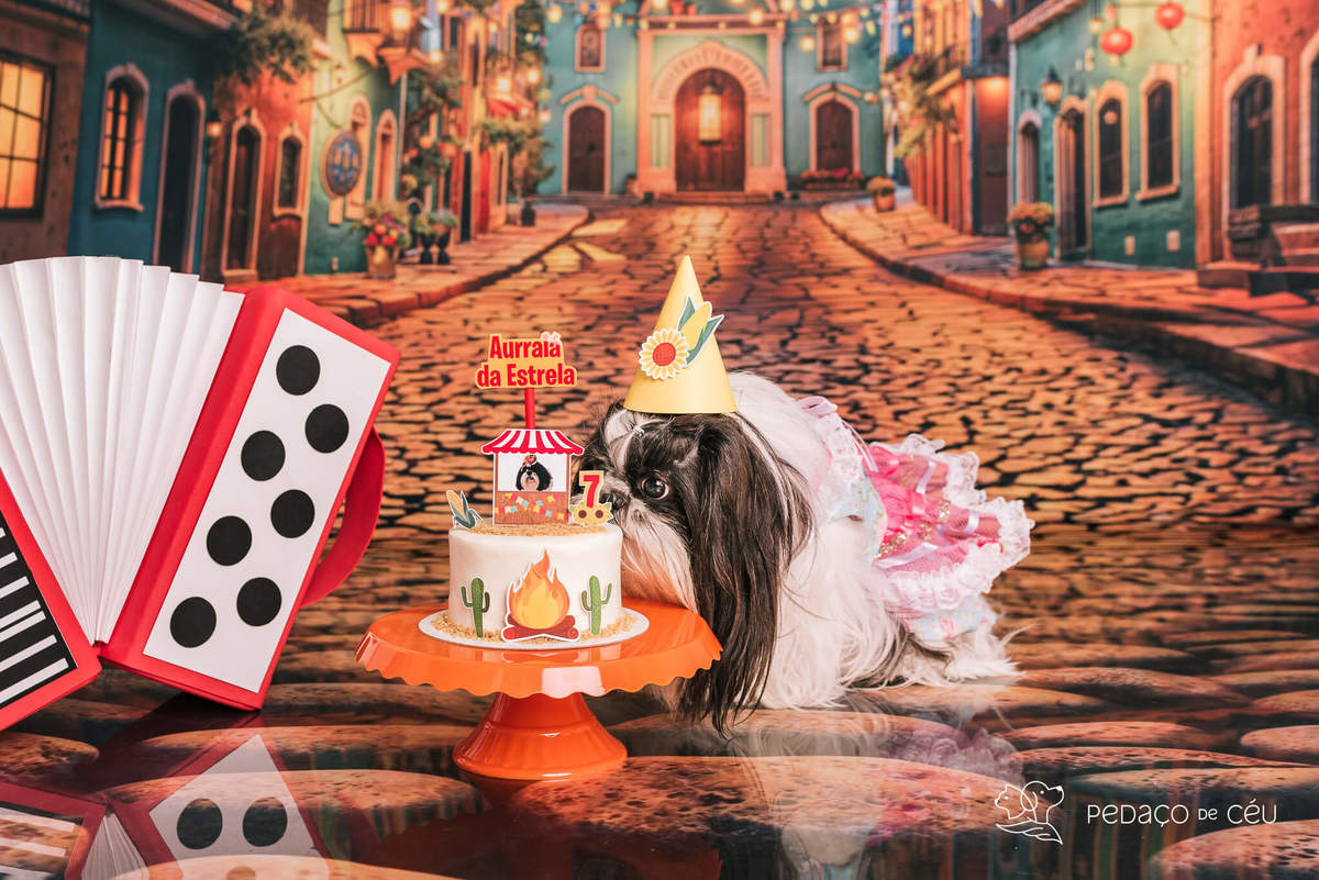 ensaio de aniversário pet shihtzu rio de janeiro