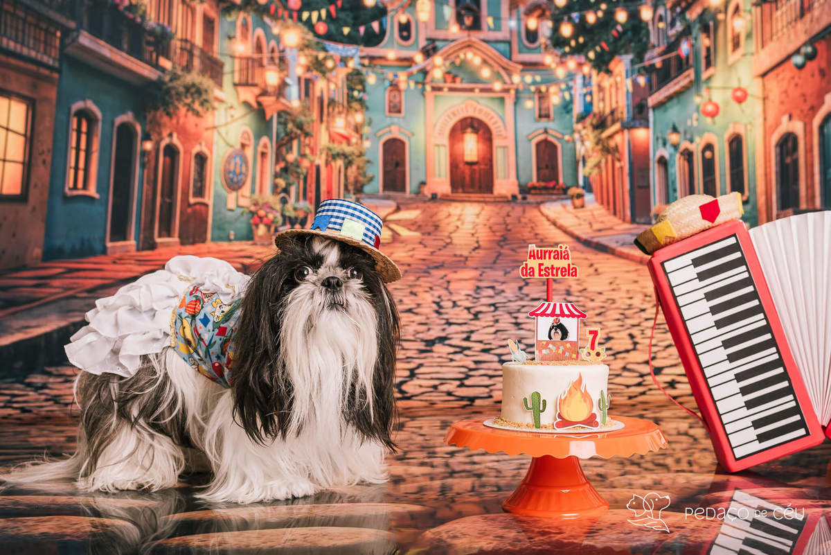 Cake smash pet com bolo rio de janeiro