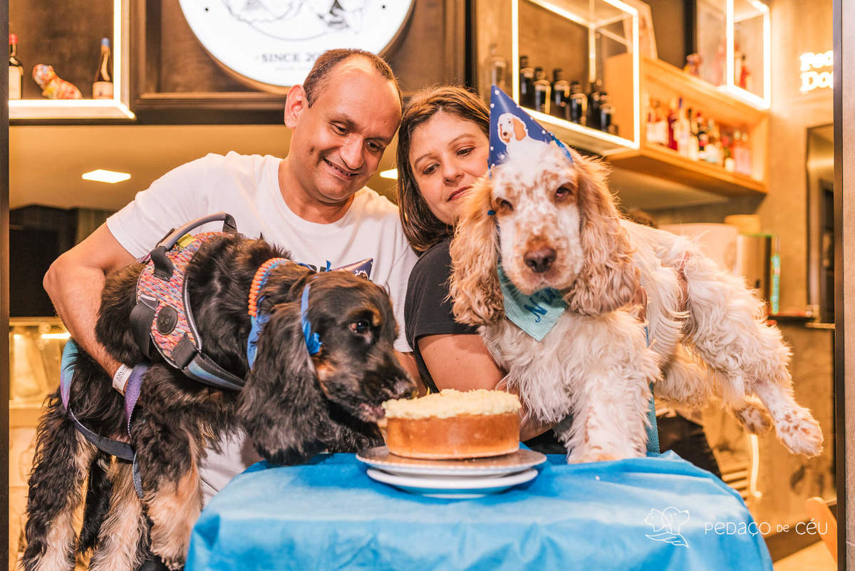 Aniversário pet no Bonifácio e Berenice Leblon RJ