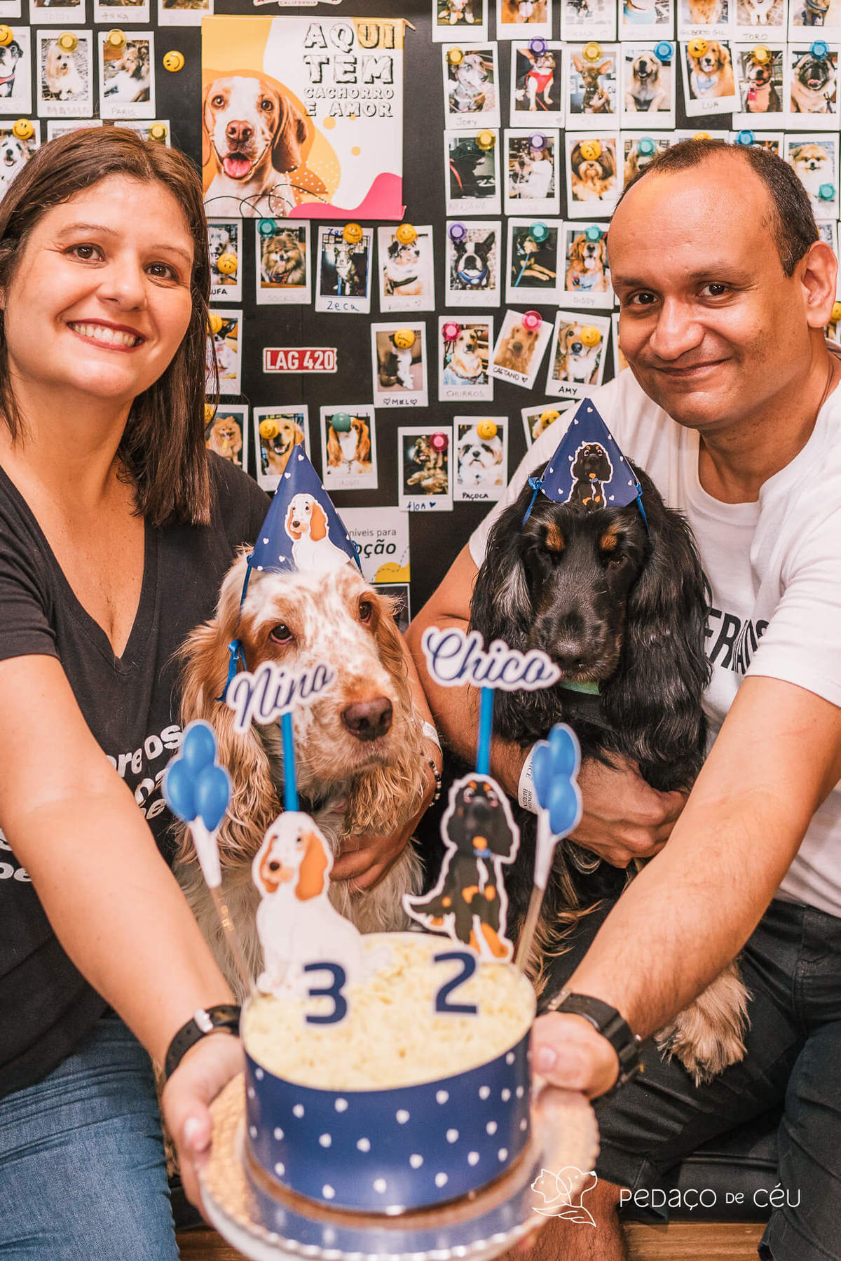 Aniversário pet no Bonifácio e Berenice Leblon RJ