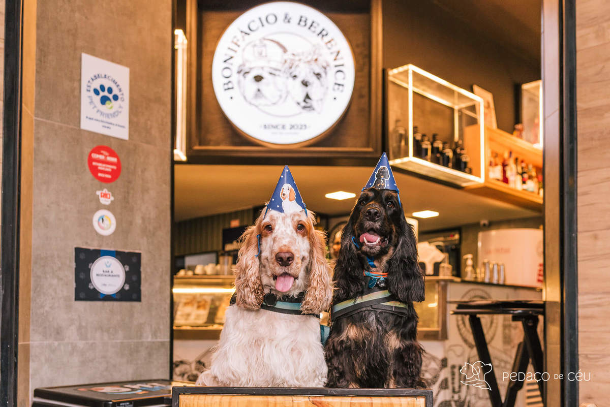 Aniversário pet no Bonifácio e Berenice Leblon RJ