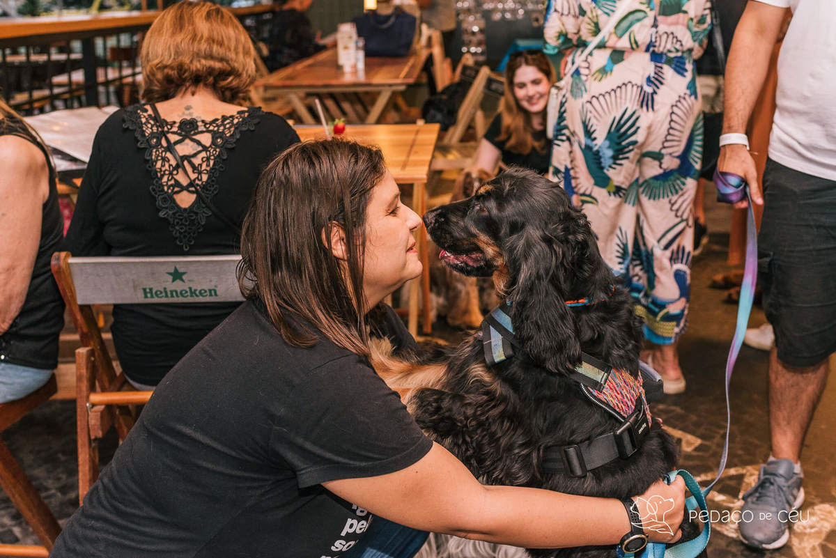 Aniversário pet no Bonifácio e Berenice Leblon RJ