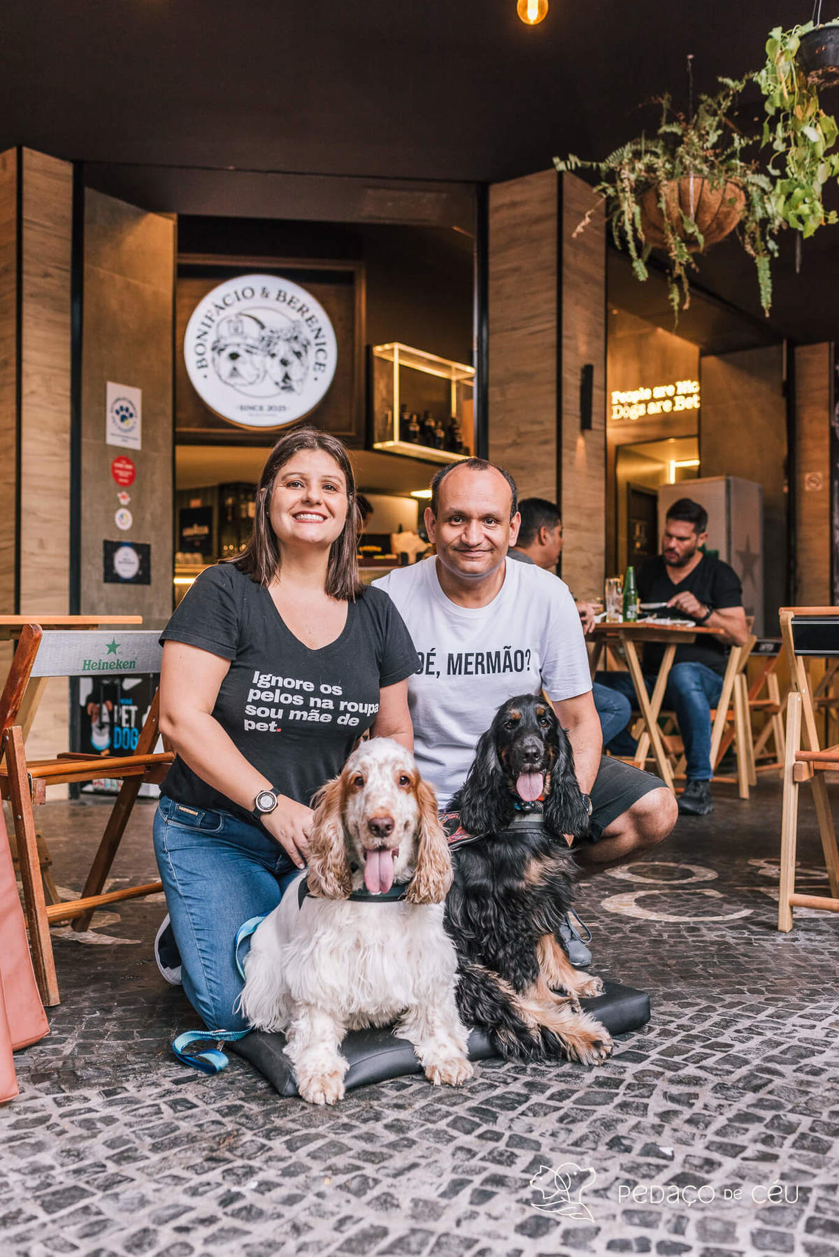 Aniversário pet no Bonifácio e Berenice Leblon RJ