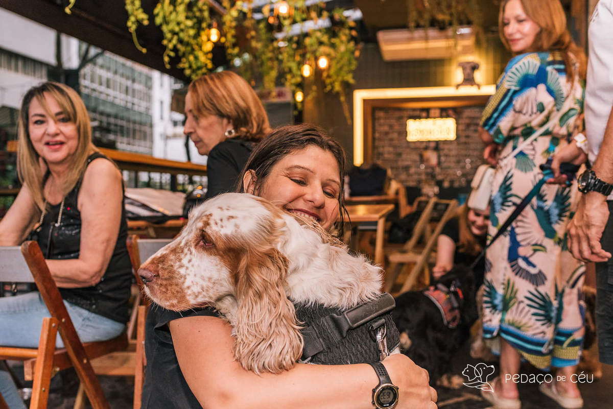 Aniversário pet no Bonifácio e Berenice Leblon RJ