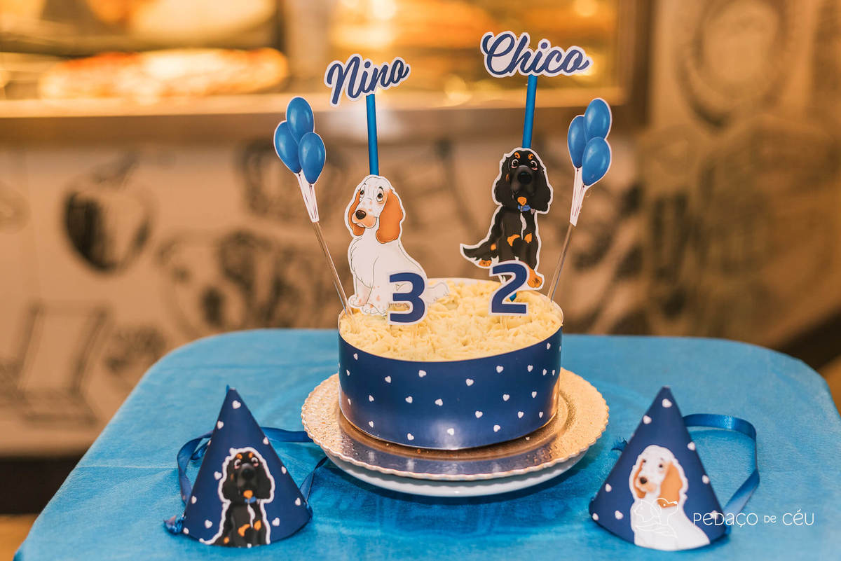 Aniversário pet no Bonifácio e Berenice Leblon RJ