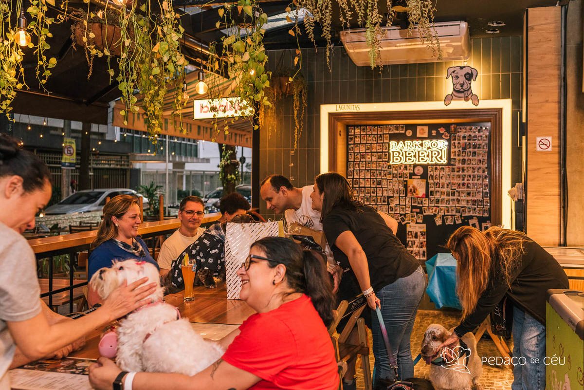Aniversário pet no Bonifácio e Berenice Leblon RJ
