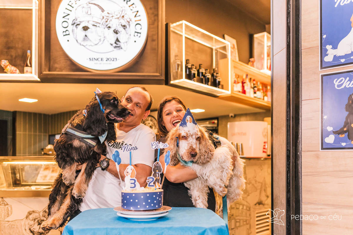 Aniversário pet no Bonifácio e Berenice Leblon RJ
