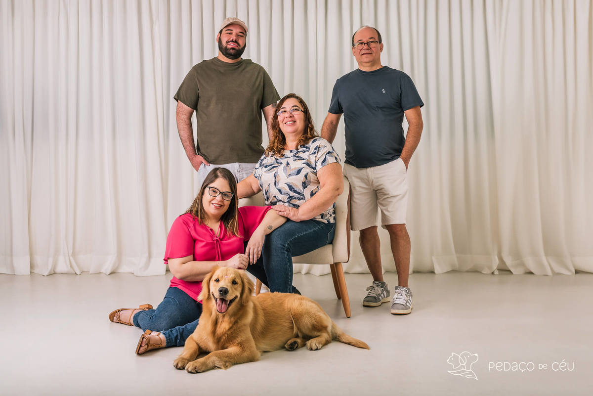 Ensaio pet Golden Retriever Rio de Janeiro