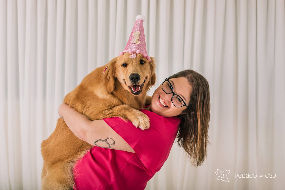 Ensaio pet Golden Retriever Rio de Janeiro