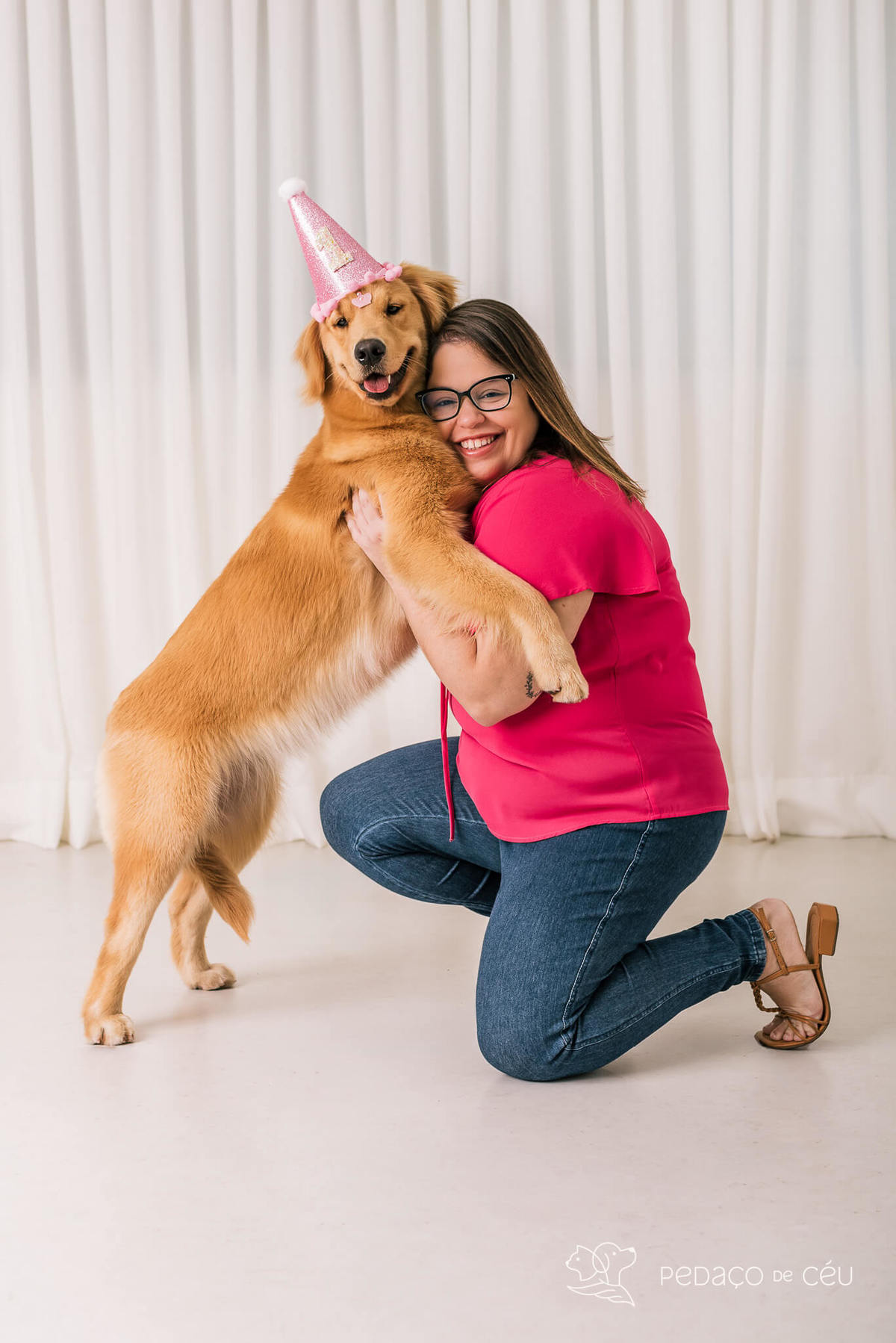 Ensaio pet Golden Retriever Rio de Janeiro