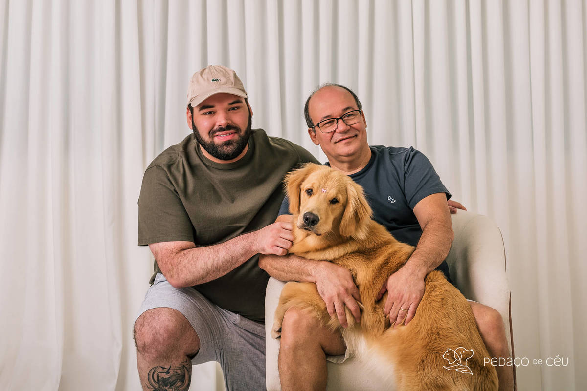 Ensaio pet Golden Retriever Rio de Janeiro