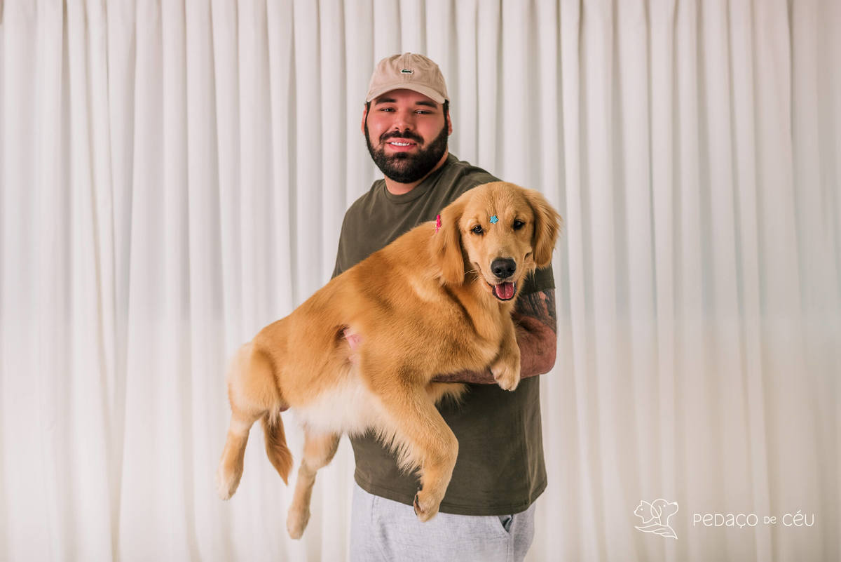Ensaio pet Golden Retriever Rio de Janeiro