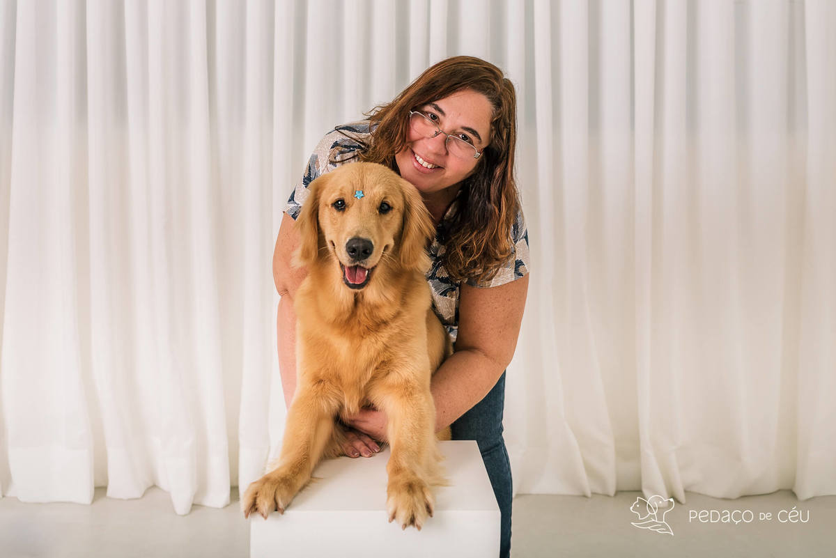Ensaio pet Golden Retriever Rio de Janeiro