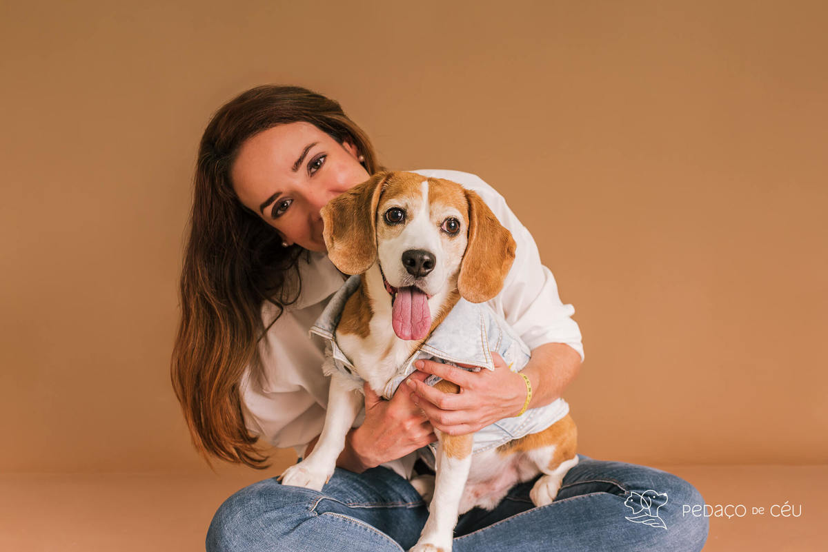 Ensaio pet estúdio Beagle Rio de Janeiro
