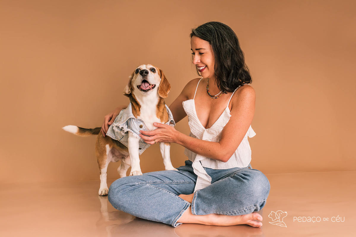 Ensaio pet estúdio Beagle Rio de Janeiro