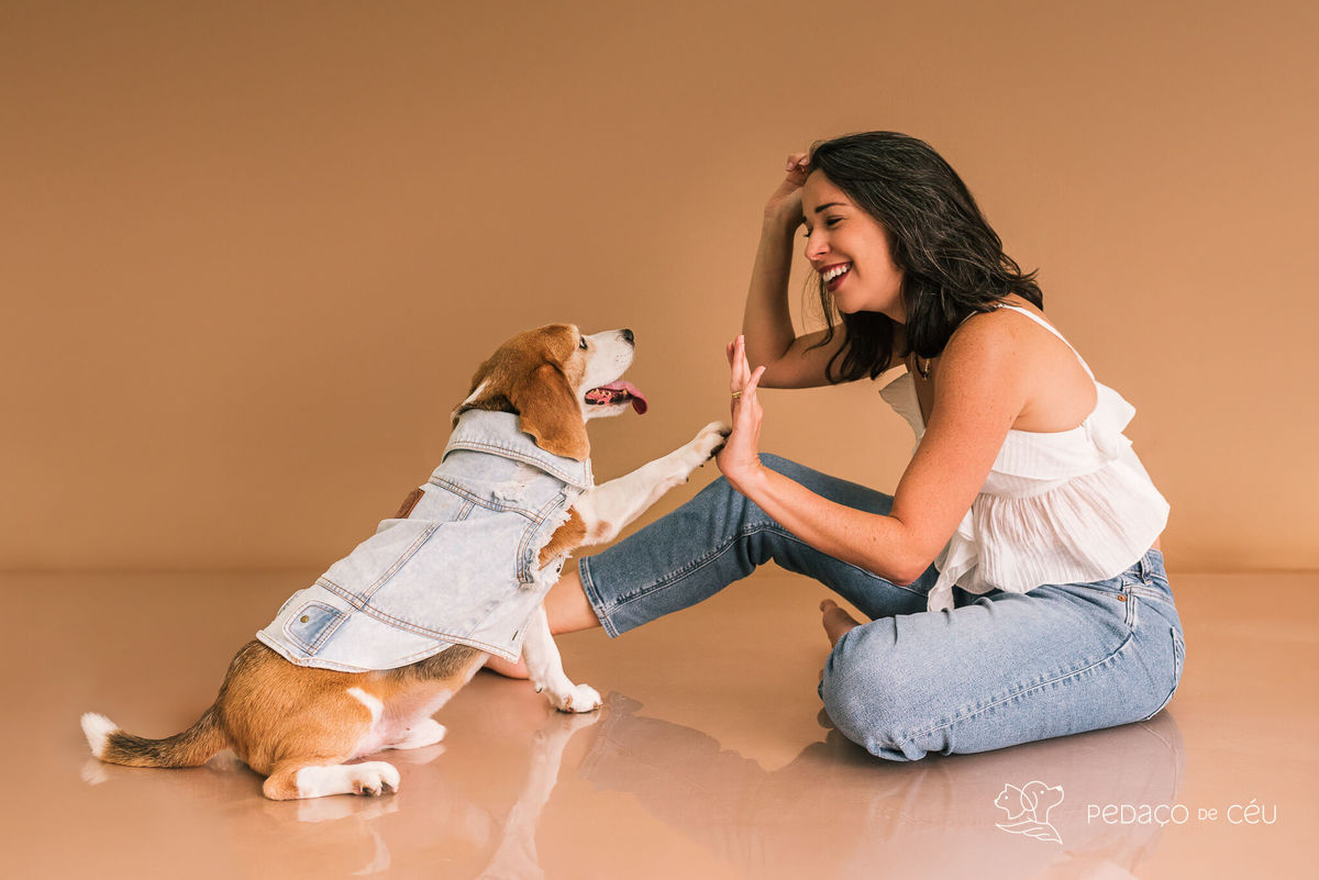 Ensaio pet estúdio Beagle Rio de Janeiro