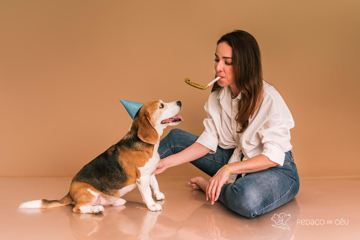 Ensaio pet estúdio Beagle Rio de Janeiro