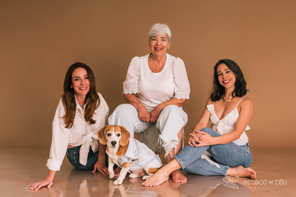 Ensaio pet estúdio Beagle Rio de Janeiro