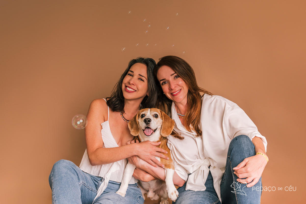 Ensaio pet estúdio Beagle Rio de Janeiro