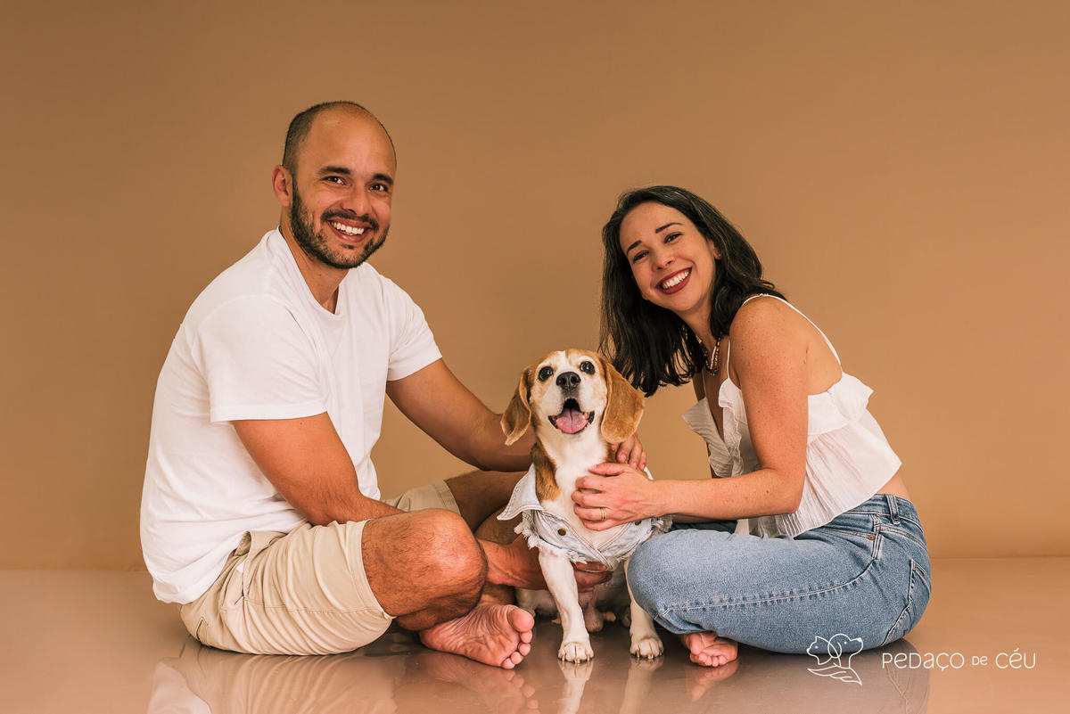 Ensaio pet estúdio Beagle Rio de Janeiro
