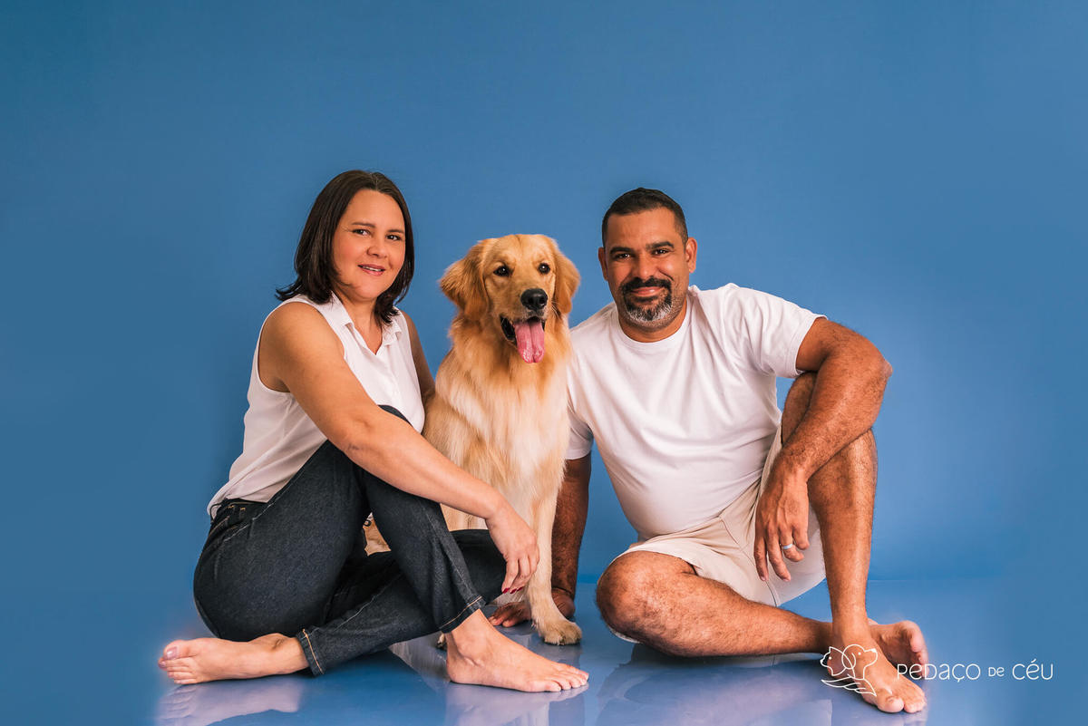 Ensaio pet Golden Rio de Janeiro