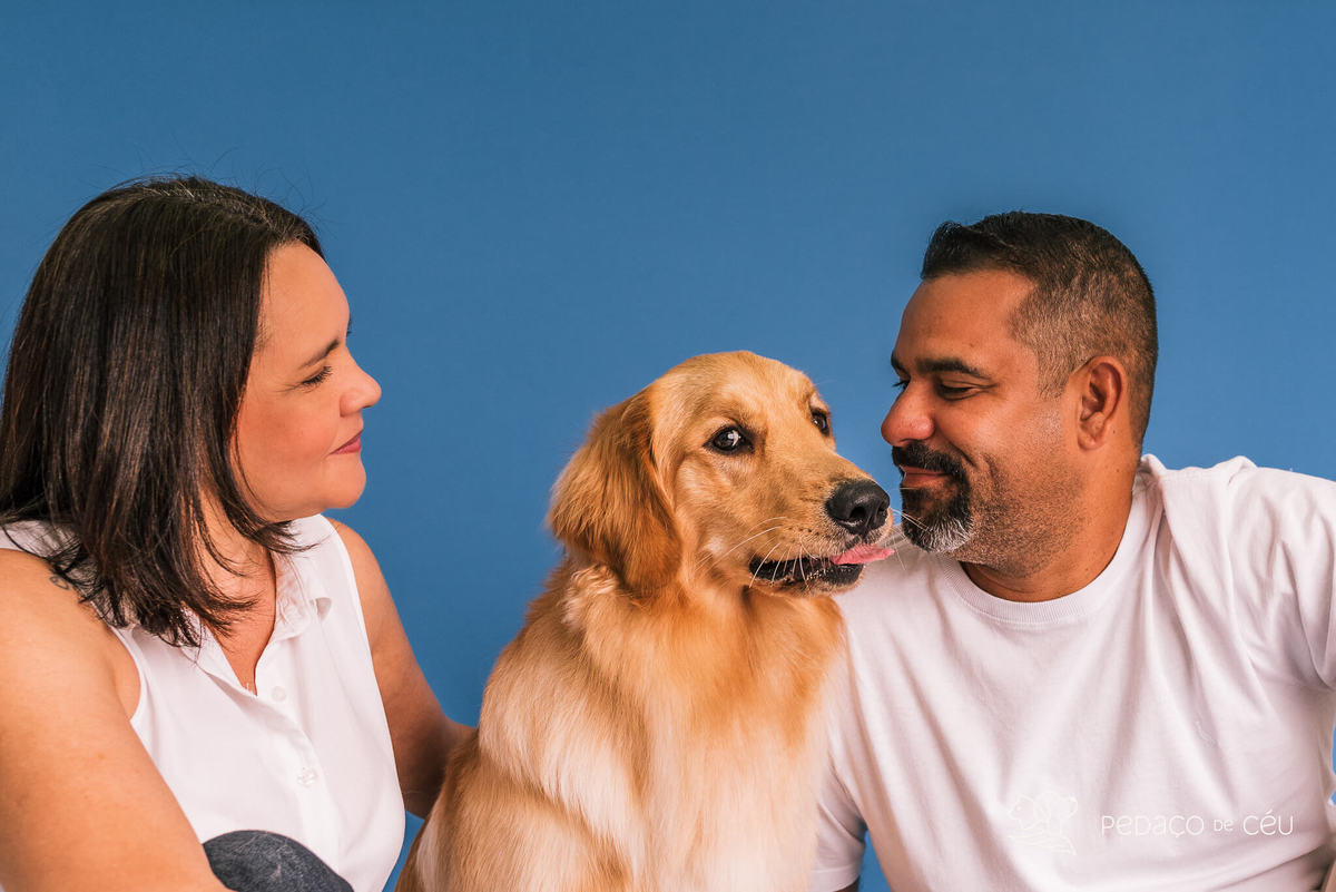 Ensaio pet Golden Rio de Janeiro