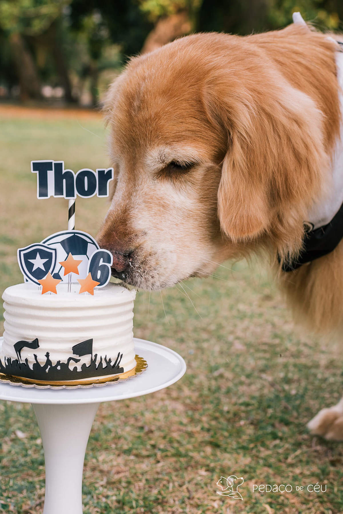 Ensaio externo Golden Rio de Janeiro