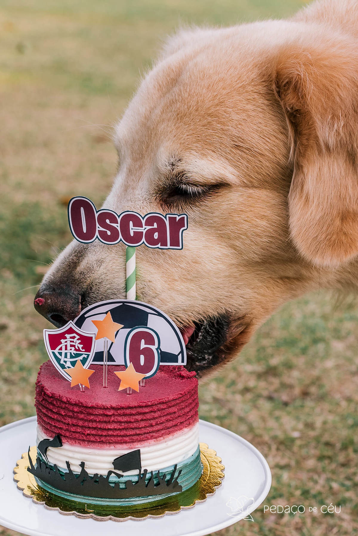 Ensaio externo Golden Rio de Janeiro