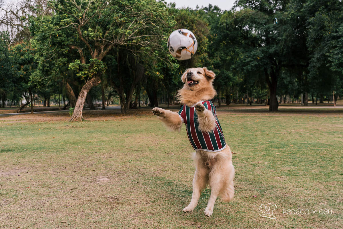Ensaio externo Golden Rio de Janeiro