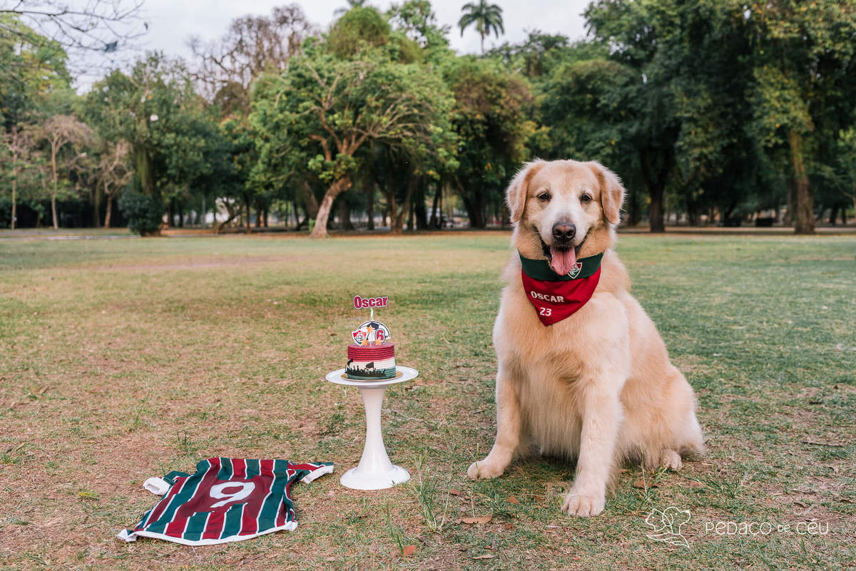 Ensaio externo Golden Rio de Janeiro