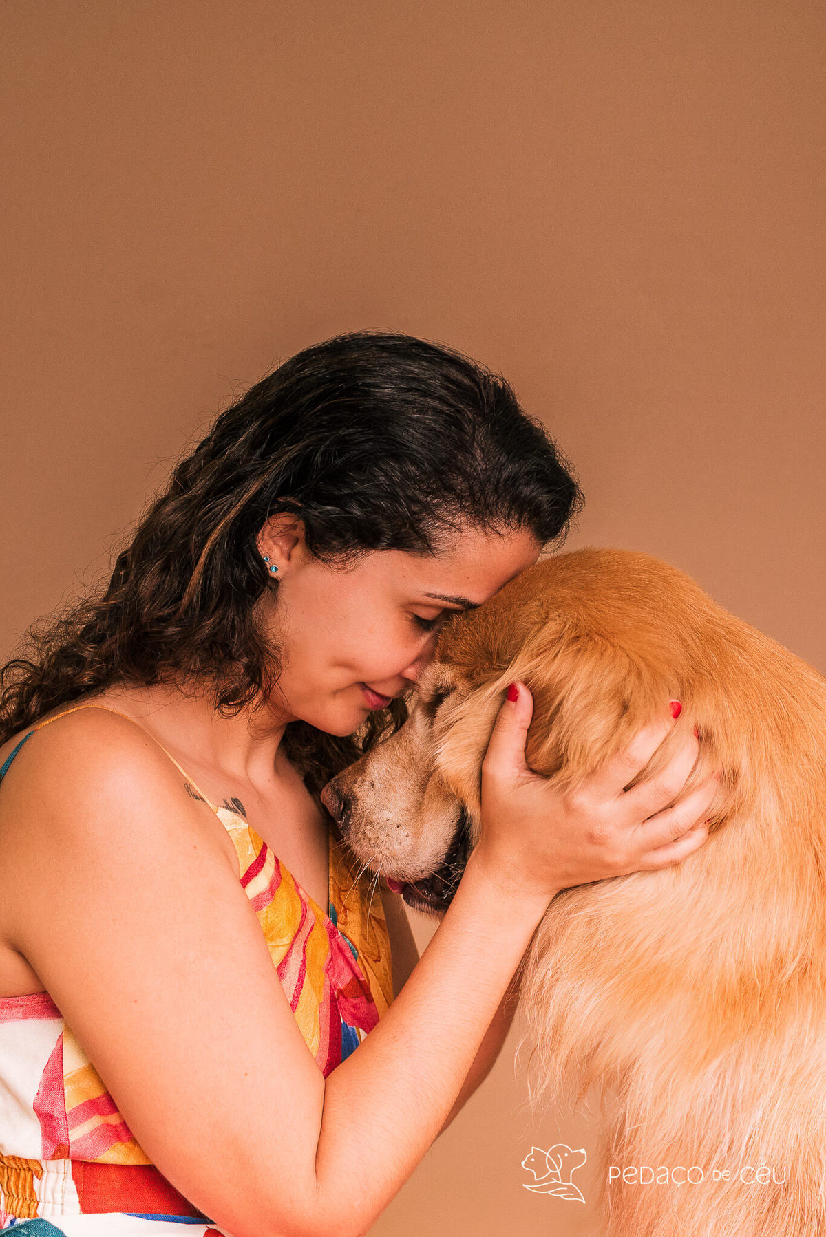 Ensaio Golden Retriever Rio de Janeiro 